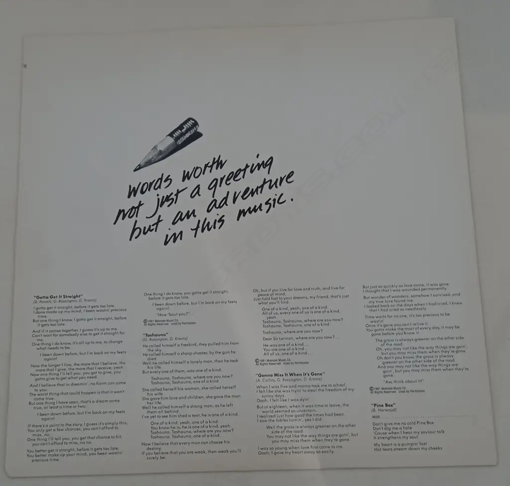 Rossington Collins Band, This Is The Way Image 1++